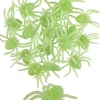 Edderkop glow-in-dark 20-pk