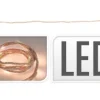 Lyskæde reb 20 LED 2 m