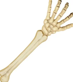 Skelet arm 45 cm