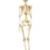 Skelet 90 cm