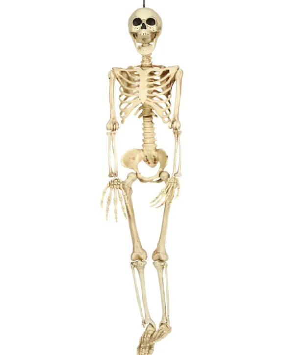 Skelet 90 cm