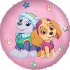 Skye og Everest folieballon 46cm